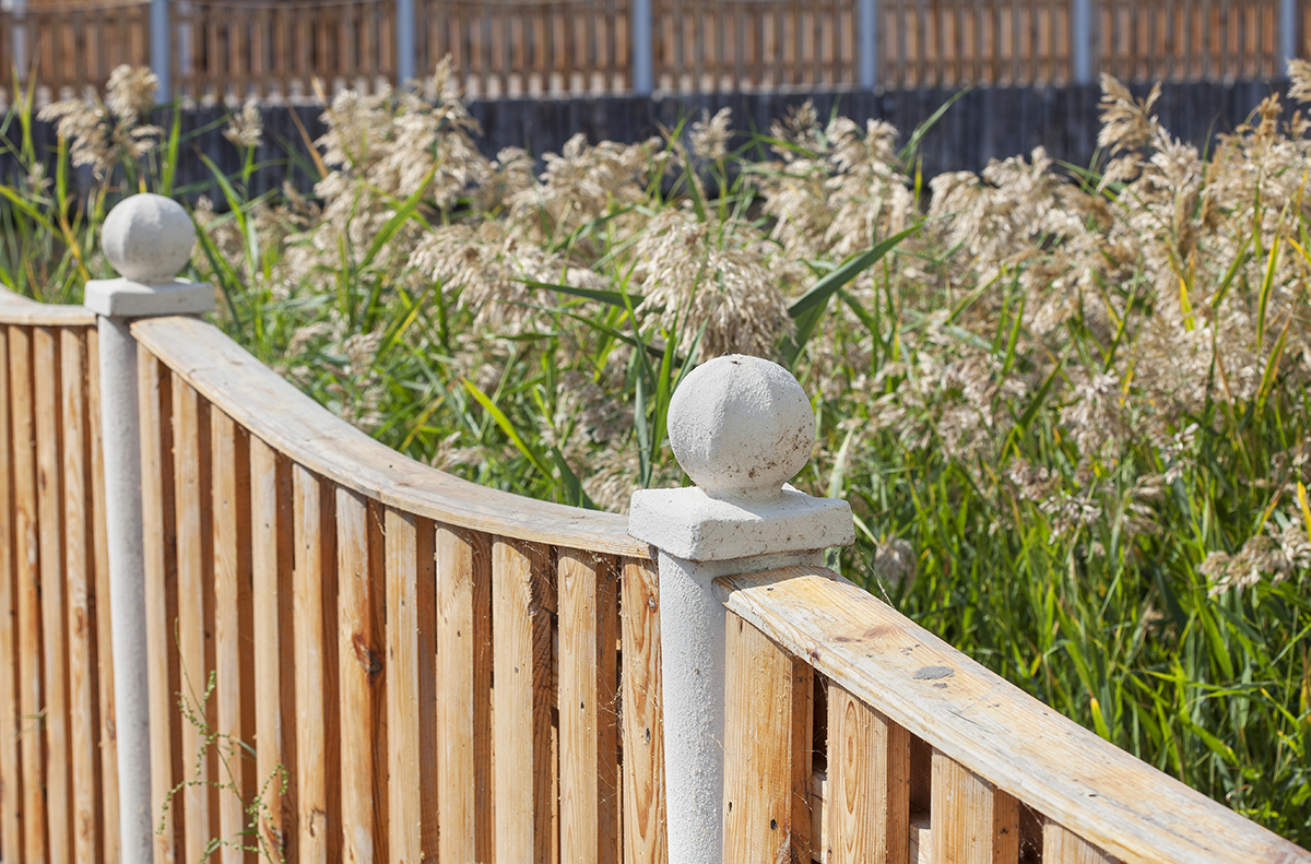 Wooden fence with concrete posts in St Albans Wooden fence with concrete posts in St Albans